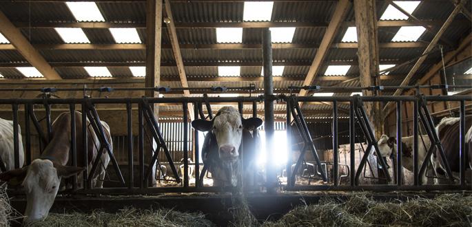 Swissness : la réussite de la mobilisation franco-genevoise ! Swissness : la réussite de la mobilisation franco-genevoise !