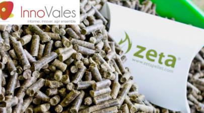 Innovales, conférence sur l'innovation au service de la biomasse Innovales, conférence sur l'innovation au service de la biomasse